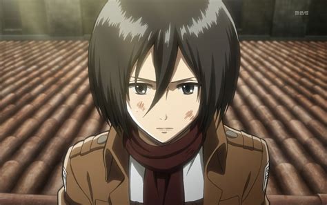 Character : mikasa ackerman